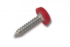 Red Pan Head Screw