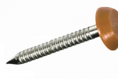 Golden Oak POLYTOPS® Nail