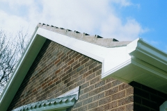 POLYTOPS® nail in situ on UPVC Fascia