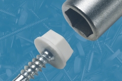 Hex Socket Drive Screw with Driving Tool